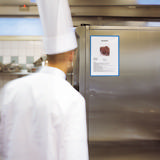 FICKA FÖR INRAMNING: KANG EASY LOAD MAGNETIC COLOR