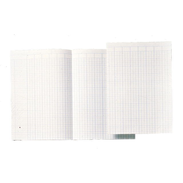 Atlanta Accountancy Paper, Folio, 14 kolumner