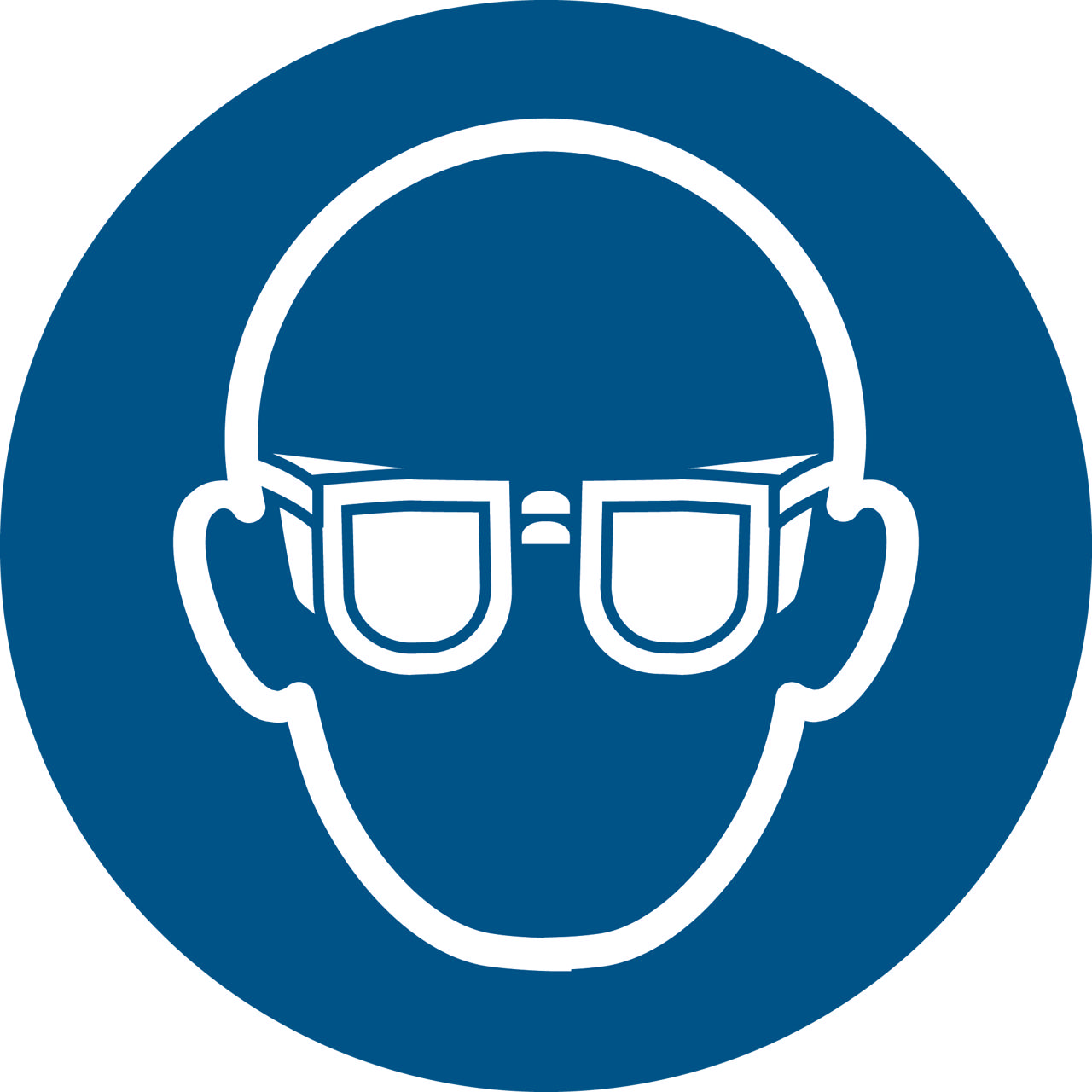 Säkerhetsskylt Använd Ögonskydd, 300 mm